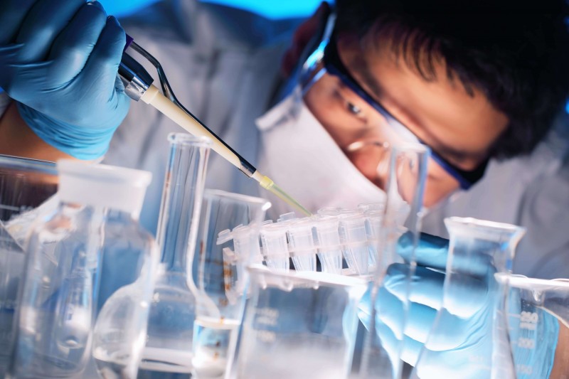 分子生物学实验